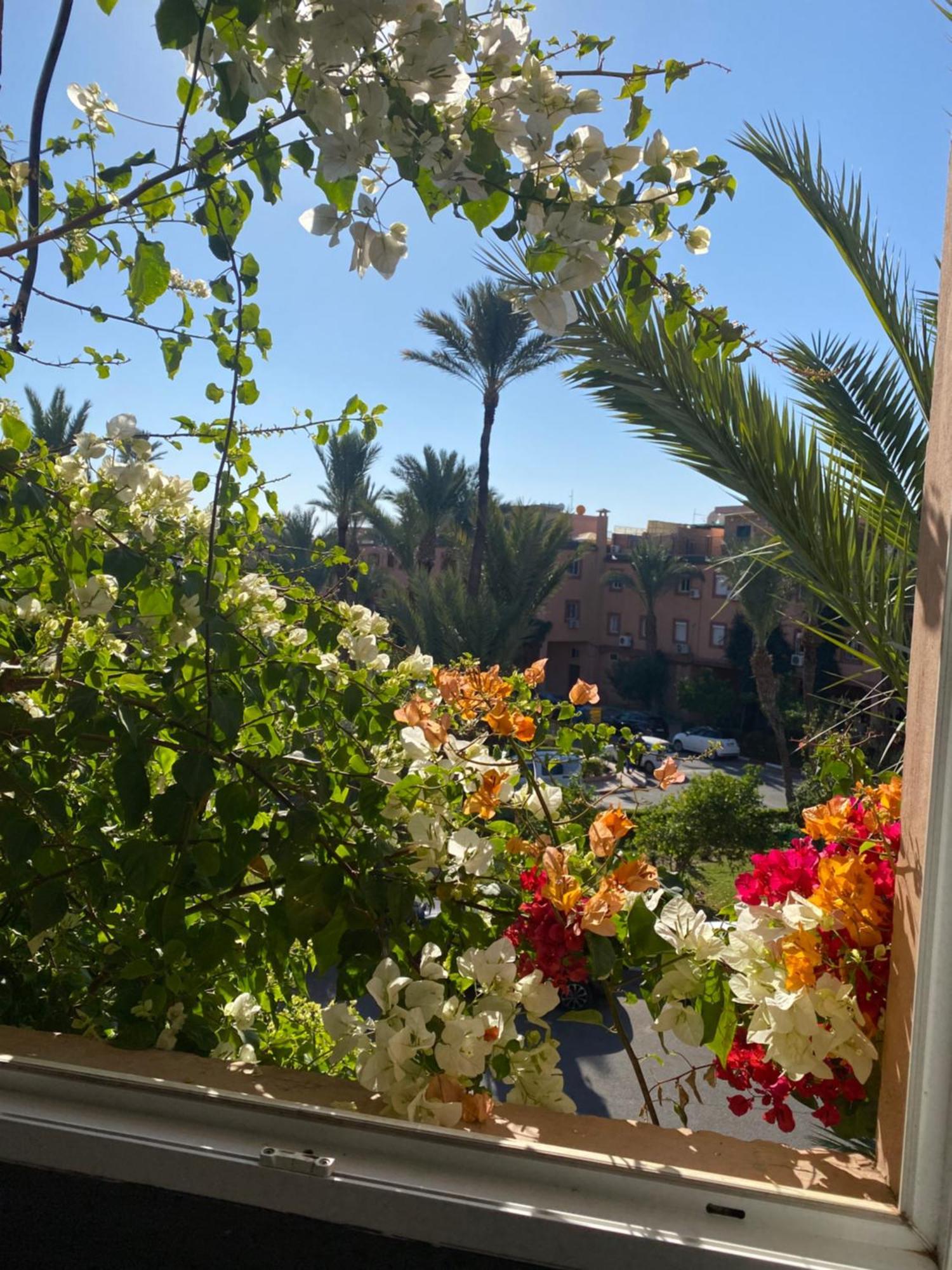 Riad Palmier Fleuri Marrakesh Exterior photo